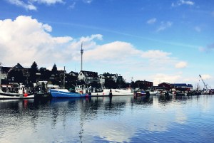 Bordrezept Segeln Spargelsuppe mit Aal oder Räucherlachs