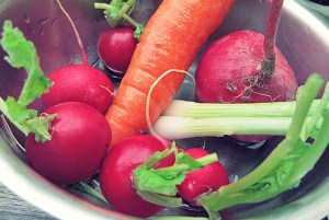 Linsensalat Gemuese roh Segelrezept