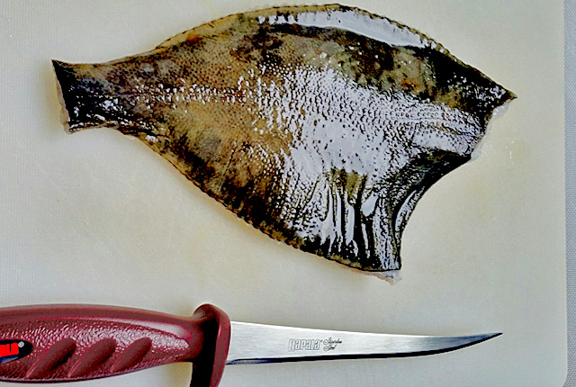 Flunder geputzt geangelt Bordrezept