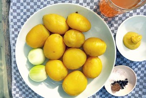 Bord-Rezept: Einfacher Kartoffel-Salat