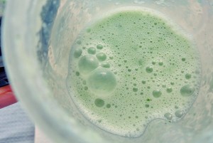 Blitz Gurkensuppe frisch gemixt