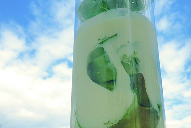 Schnelles Bordrezept Geeiste Gurkensuppe mit Gin