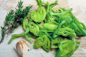 Sommersuppe für Segler Vichyssoise Einlage