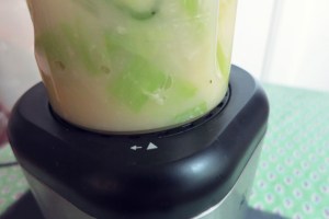 Vichyssoise, Kartoffel-Lauchsuppe in Kult X