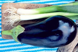 Bord proviant Aubergine und Frühlingszwiebel