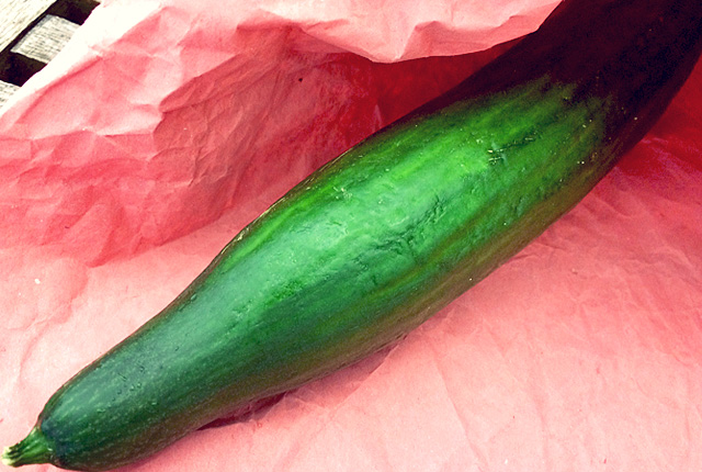 Gurken richtig lagern an Bord