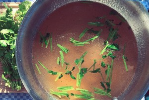 Zubereitung Acorda Alentejo, Korianderbrühe