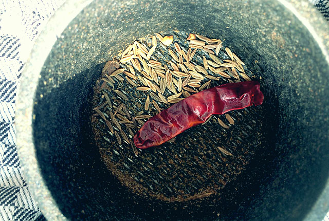 Gewürze in Gewürzmühle Pantry und Kombüse