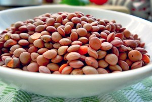 Bordproviant Segeln Hülsenfrüchte rohe Berglinsen