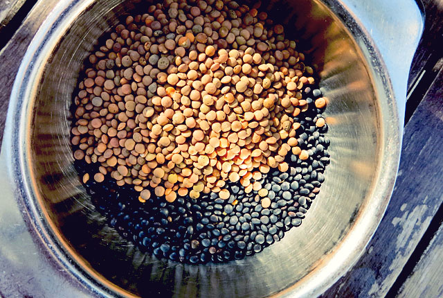 Chili sin Carne Linsen Seglerküche Zutat