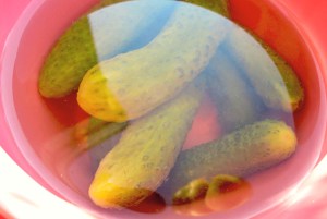 Bord-Proviant Gürkchen sauer