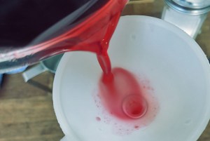 Cranberry oder Moosbeeren Sirup DIY Kombüse