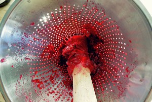 Moosbeeren oder Cranberry Saft DIY