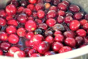 Cranberry Saft selbermachen DIY