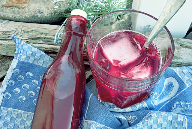 Cranberry Sirup selbstgemacht Kochen an Bord