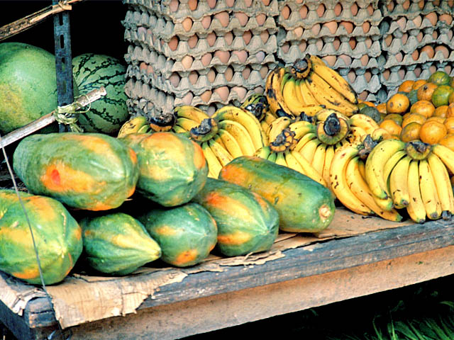 Reife Papaya auf Markt in Samui