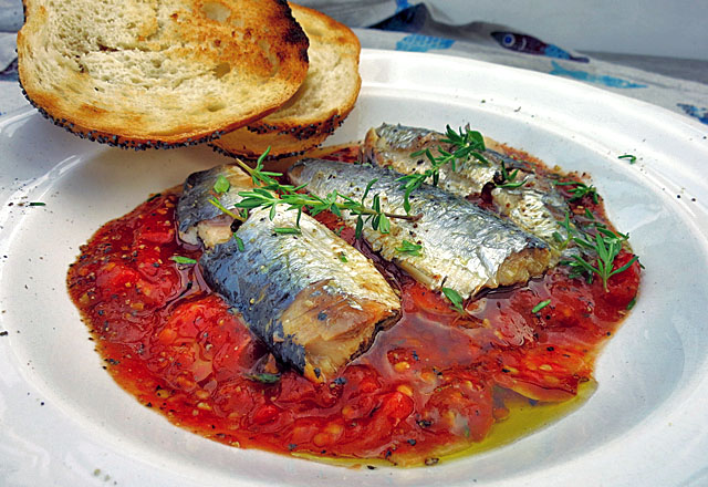 Ölsardinen auf lauwarmen Tomaten