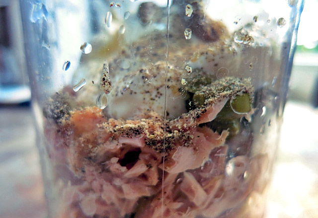 Thunfischsauce Dip im Mixer