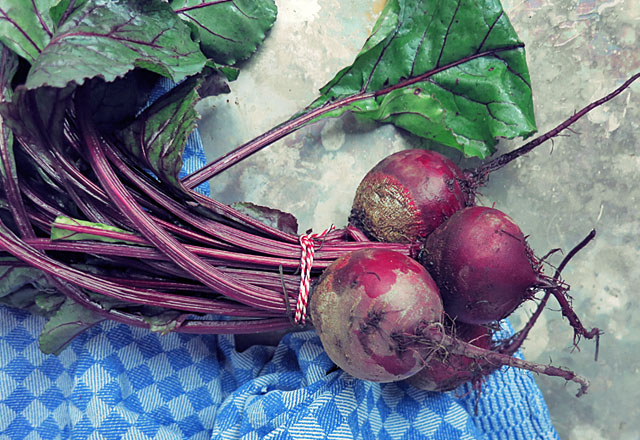 Rote Bete Bund frisch mit Blaettern