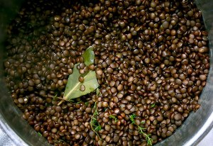 Belugalinsen weichgegart