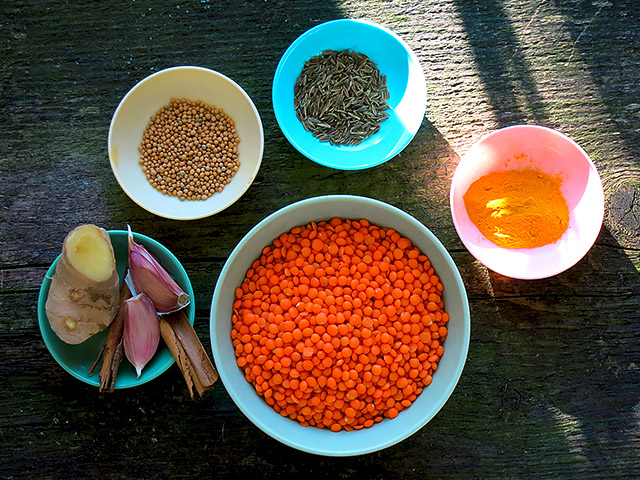 Rasta Dal Ayurvedisch mit roten Linsen