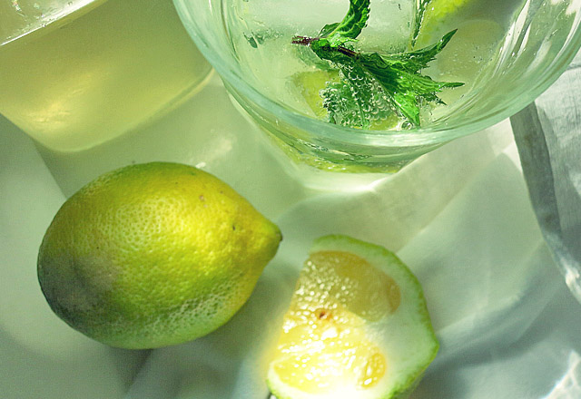 Holler Schorle aka Virgin Hugo