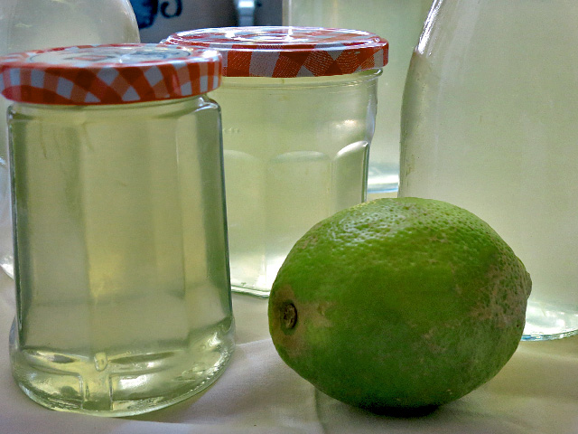 Holunderblueten Sirup DIY