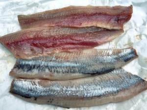 Neuer Matjes 2019 frisch filetiert