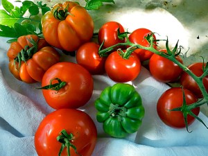 Im Juni reife Tomaten Sorten