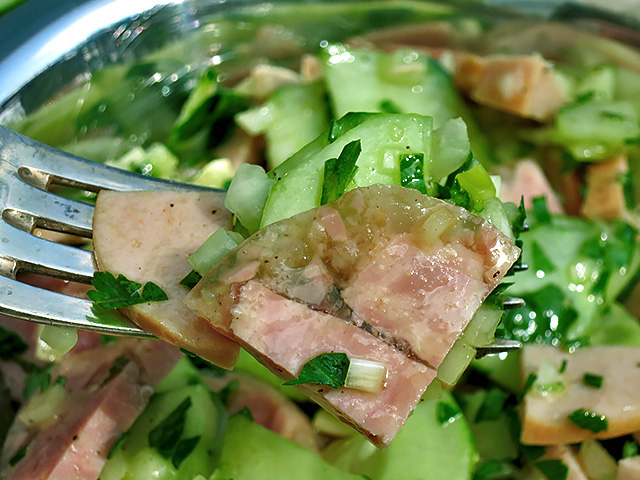 Fleischwurst Sülze Gurkensalat