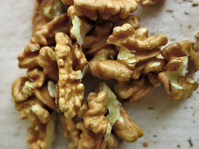 Rosenkohl Pasta mit Walnuss-Käsesauce: Hello Snow! Der Winter kann ...