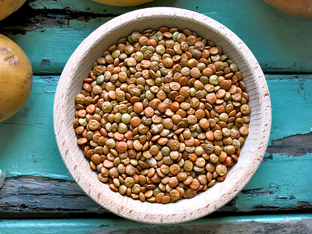 Alp Leisa Linsen aus Deutschland