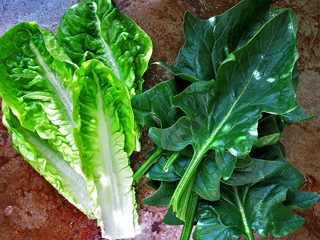 Miang Kham Thai Snack Salatblaetter