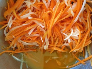 Vietnam Daikon selber machen