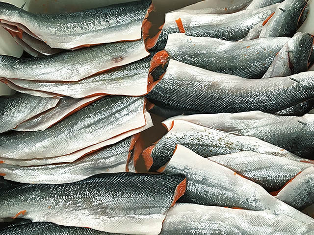 Lachs Friedrichs im Salzbad