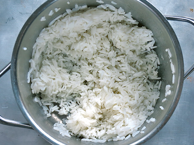 Jasmin Reis Leftover