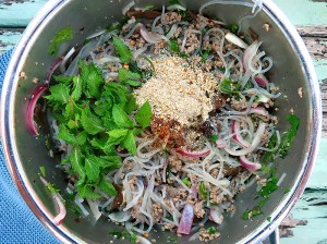 Larb Wonsen mit Röstreis Minze