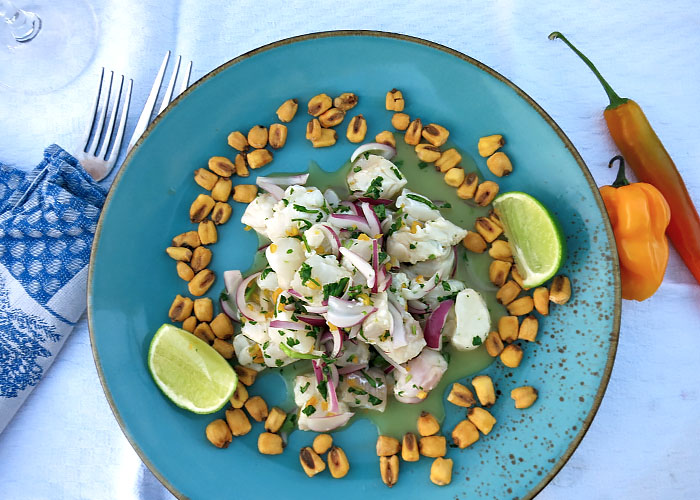 Ceviche Grundrezept rote Zwiebel