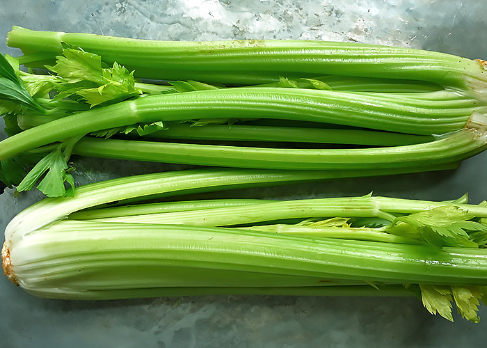 Staudensellerie in Juni Saison