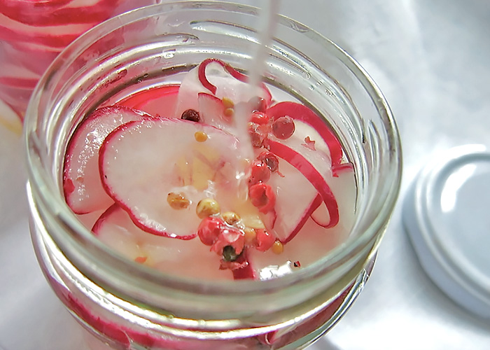 Sud angießen Radieschen eingelegt