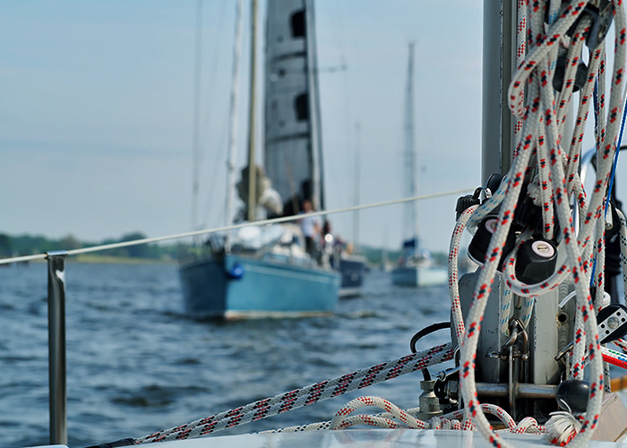 Segeln auf der Schlei