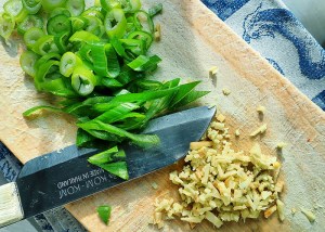 Frische Bulgogi Zutaten