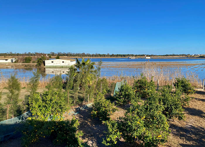 Reisfelder Albufera Valencia ©Landyachting.de 2024