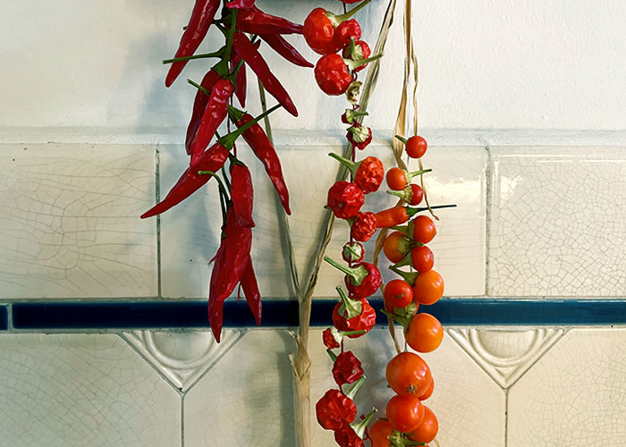 Chilis an Fäden luftig trocknen